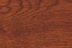 Golden-Oak-491580