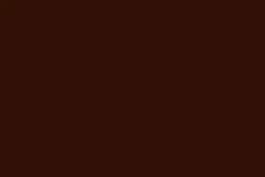 RAL-8019